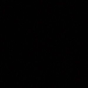 Meet your Posher, Lillian